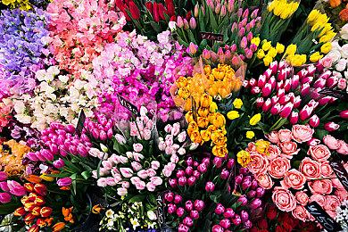 《暗黑破坏神4》“晦暗深冬祭”活动开启 胆小之辈勿来